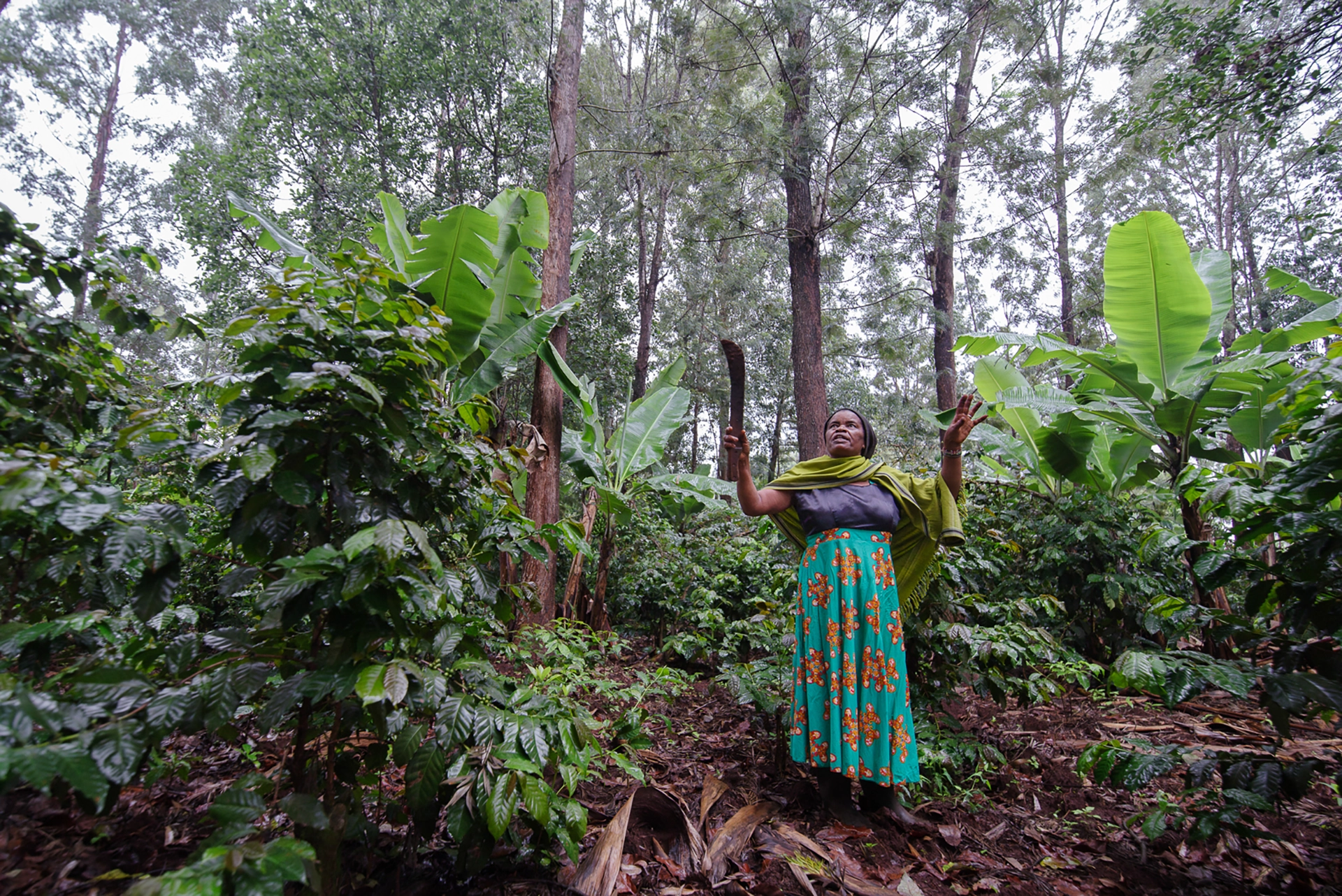 Farm Africa Grace