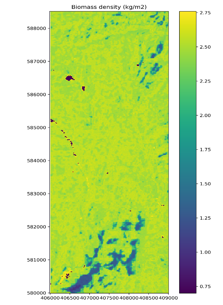 biomass density