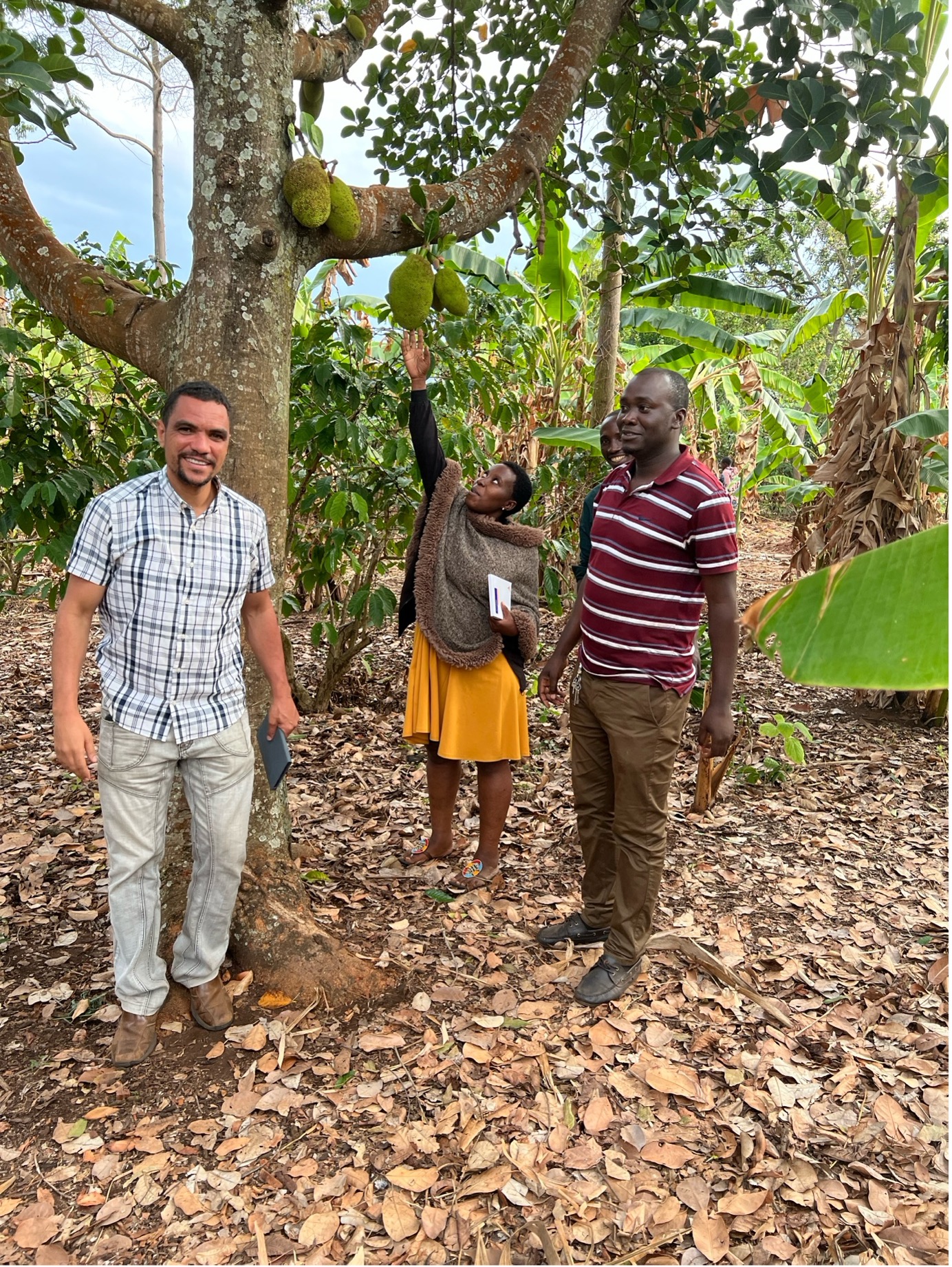 Kaderes’ Innocent, reaching for a fruit.