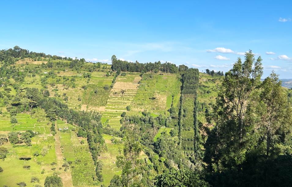 Ground truthing with Akvo in Kipkelion, Kenya