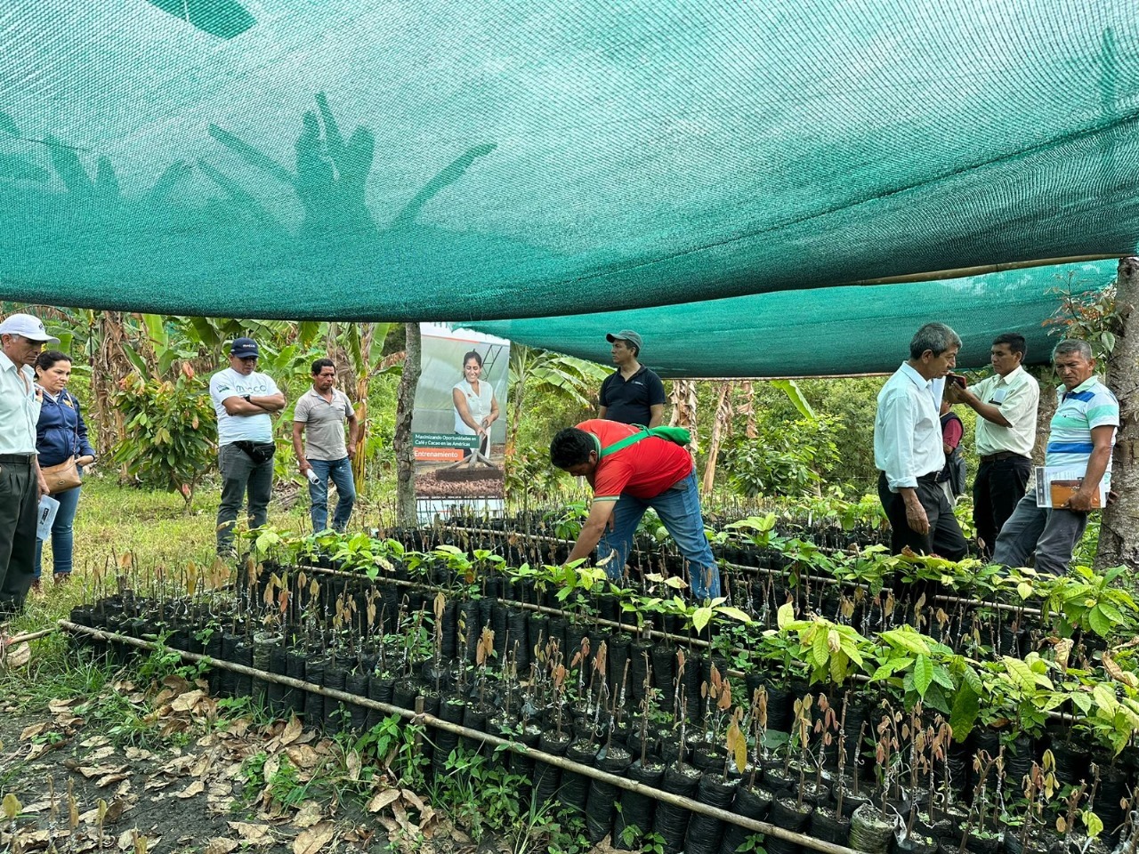 Prospective participants in Peru giving input on the project’s agroforestry techniques