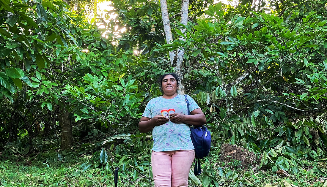 -Thumbnail- Acorn expanding in Latin America