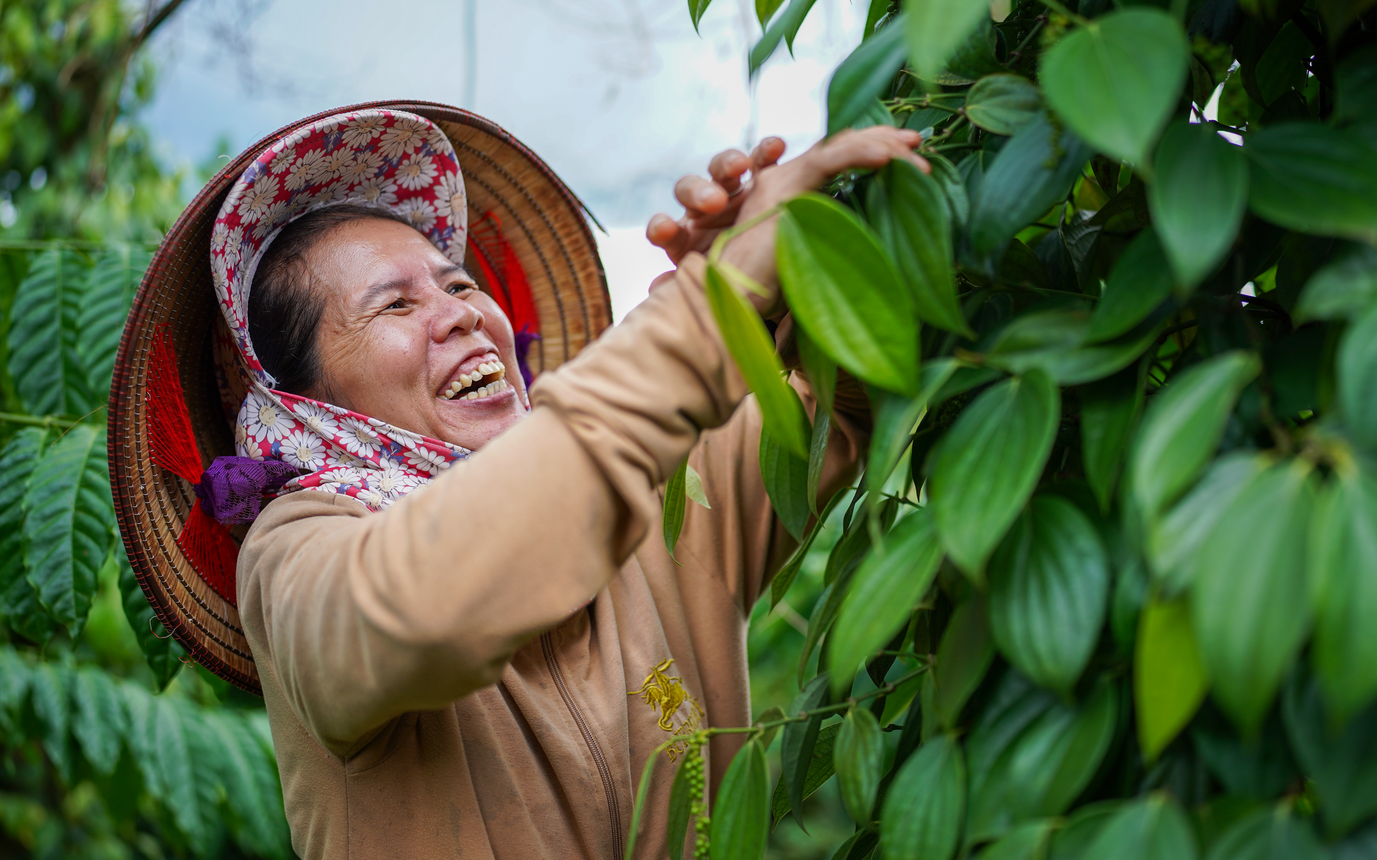 Farmer Truong Thi Mâu 03 by Dòng Truong Kiên
